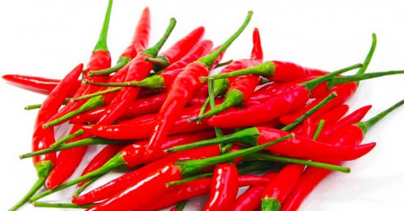 พริก Chilli peppers
