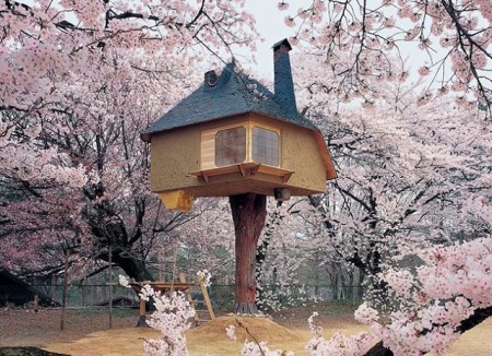 บ้านต้นไม้ประเทศญี่ปุ่น
