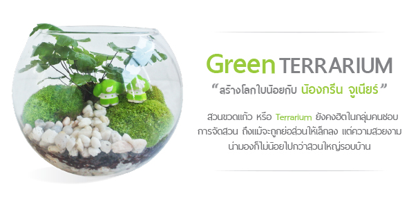 Green Terrarium