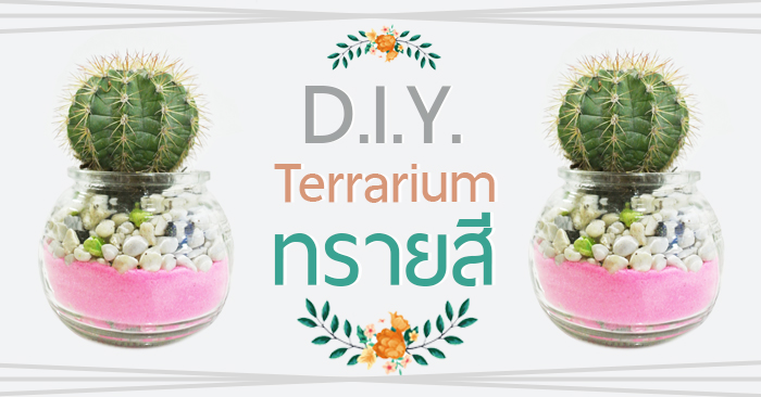 D.I.Y. Terrarium ทรายสี